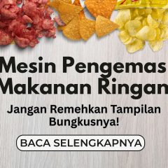 mesin pengemas makanan ringan