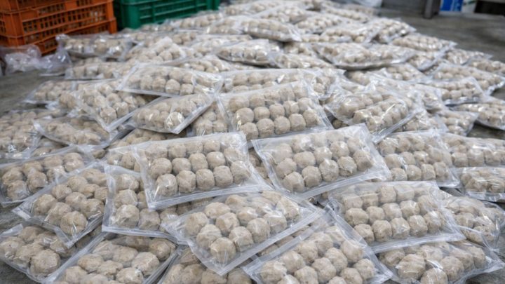 Grosir bakso sachet