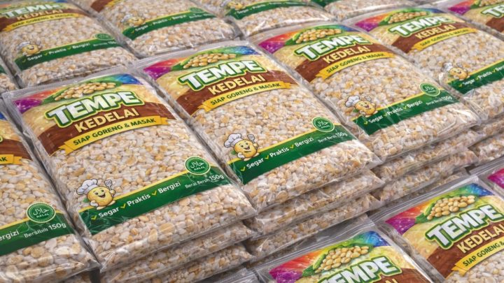 Mesin Packaging Tempe